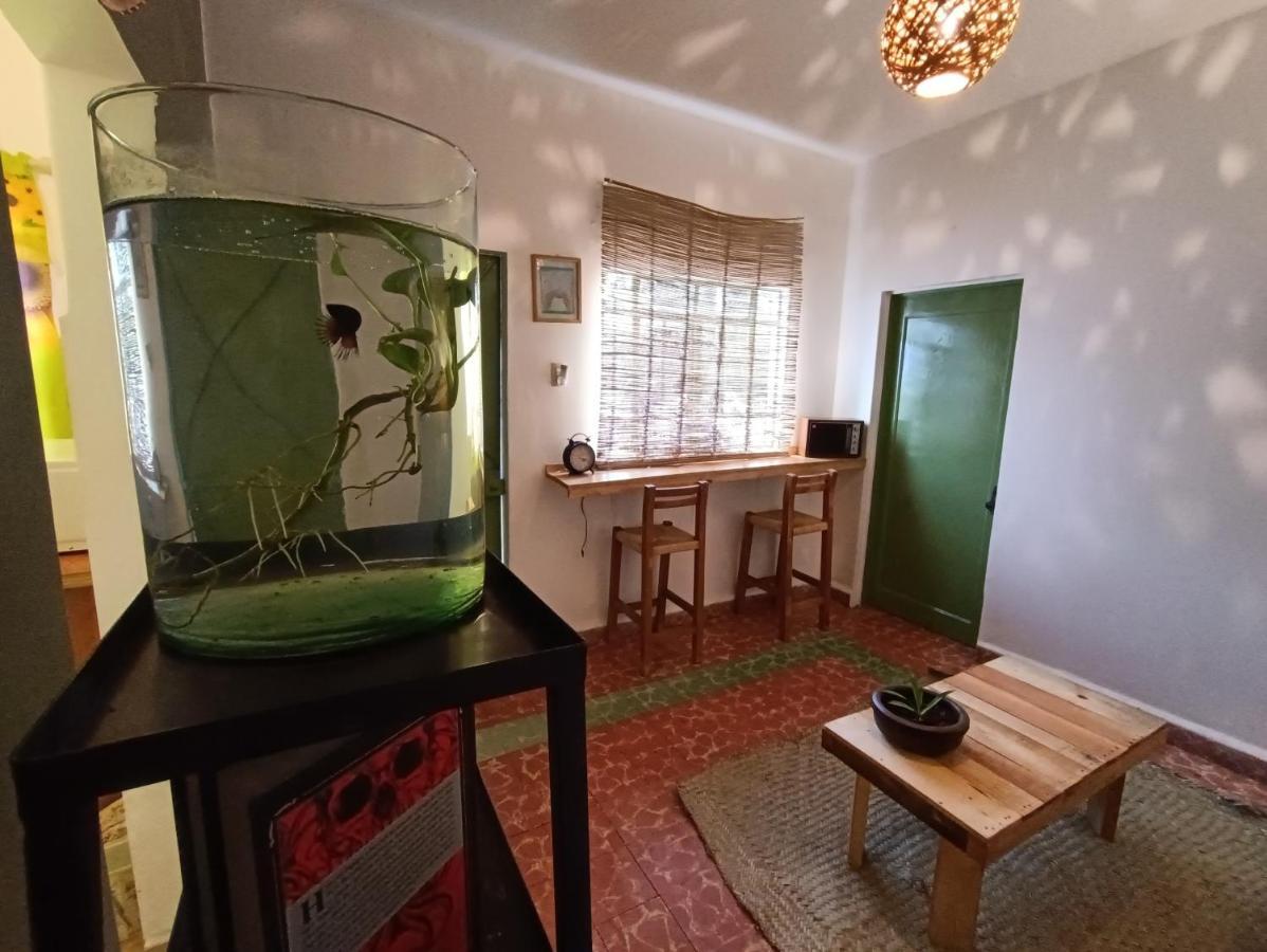 Posada Casa Mexicana Jamaica メキシコシティ エクステリア 写真